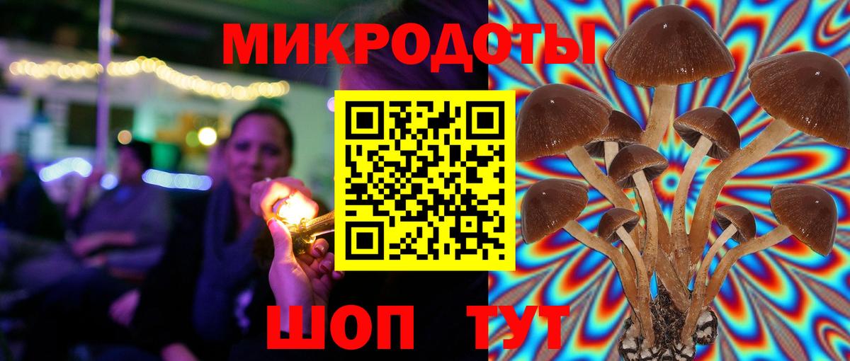 Галлюциногенные грибы Magic Shrooms  Вход с VPN  Железногорск  Галлюциногенные грибы Psilocybine cubensis 